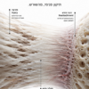 BPC-157 — tissue-repair research infographic