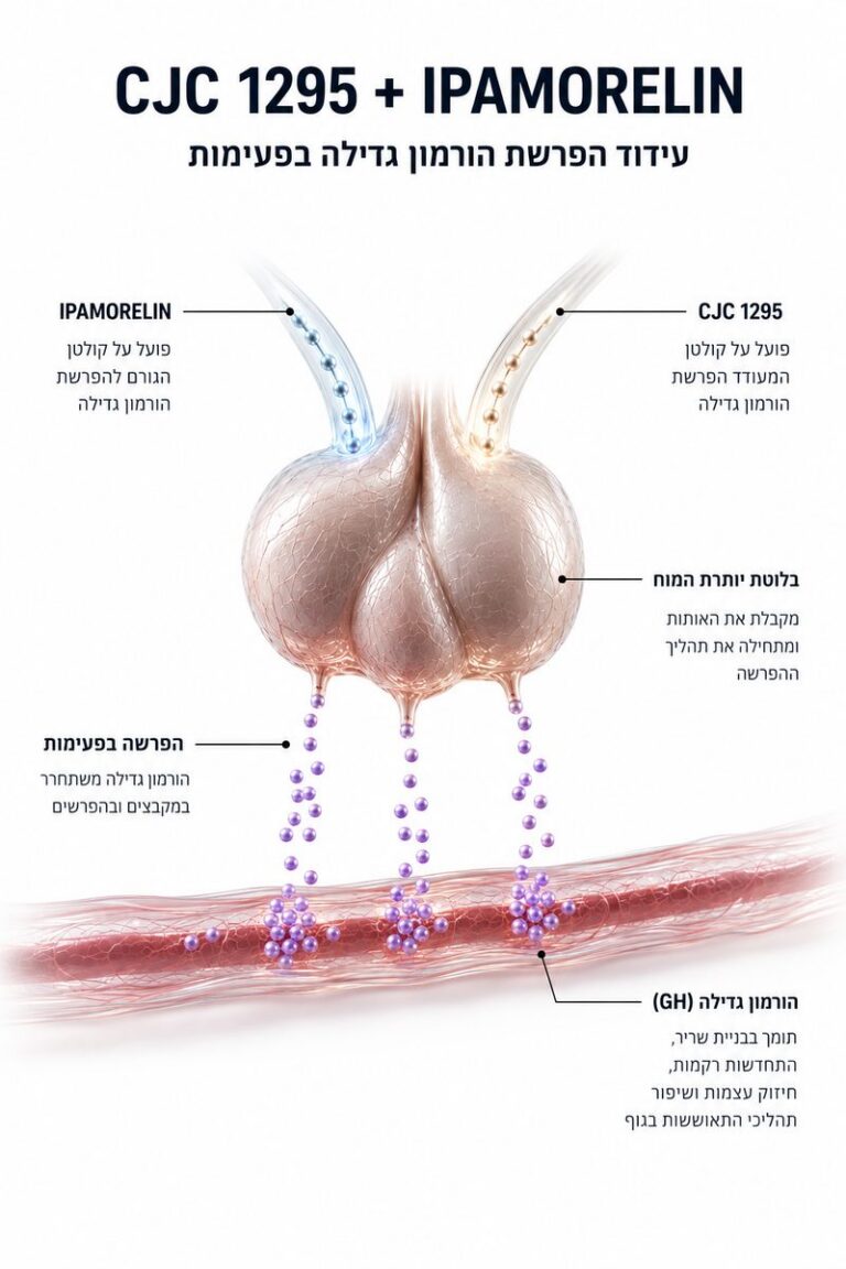 CJC-1295 + Ipamorelin — איך זה עובד?