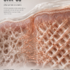 GHK-Cu — extracellular matrix research infographic