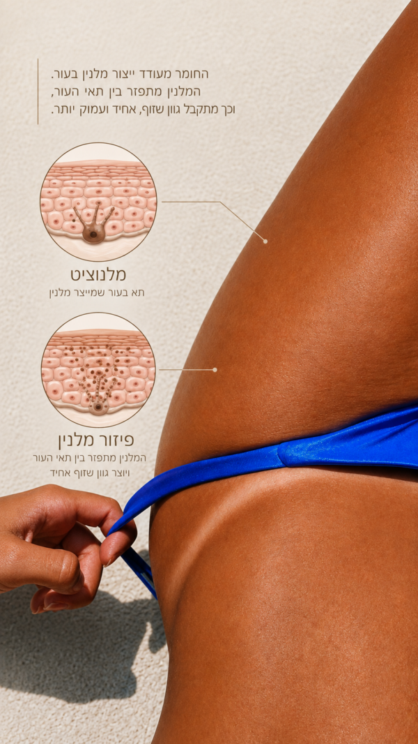 Melanotan 2 — pigmentation research infographic