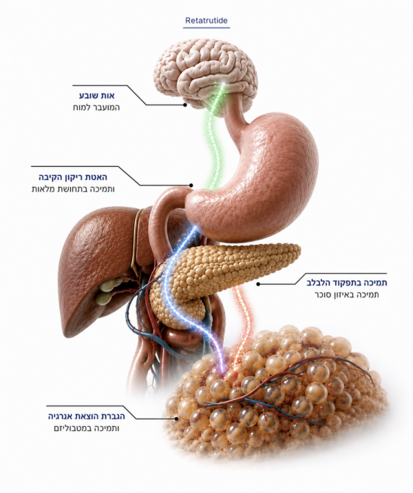 Retatrutide — triple-agonist mechanism infographic