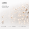 Semax — neuroplasticity research infographic