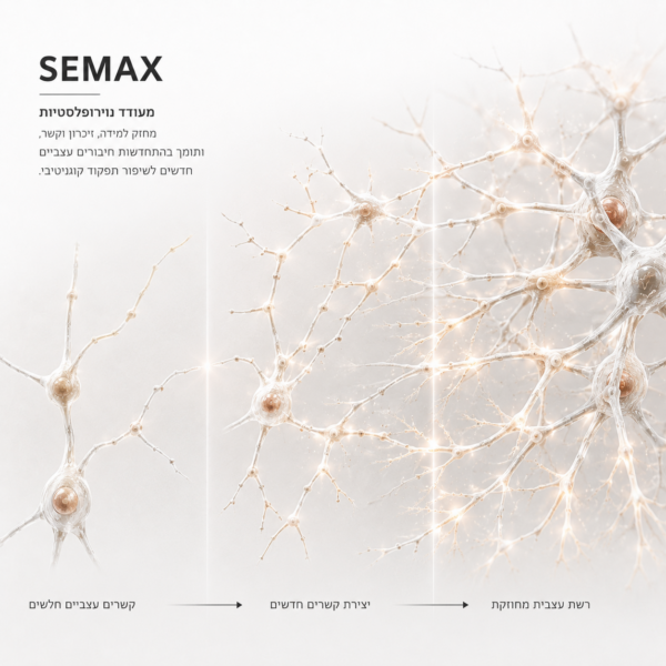 Semax — neuroplasticity research infographic